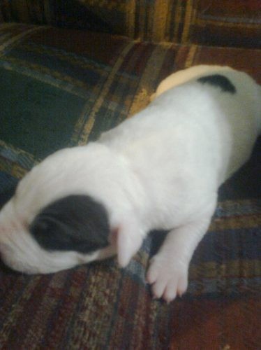 ACA ESTA MI NINIO RECIEN NACIDO ^^ ACA ESTA MI NINIO RECIEN NACIDO ^^